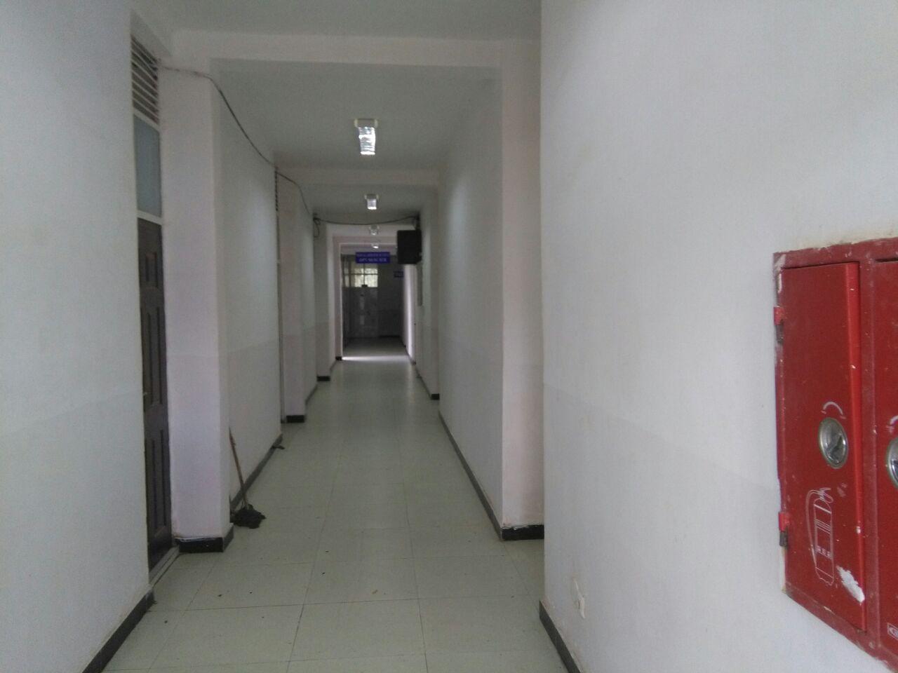 Medical Bacteriology II